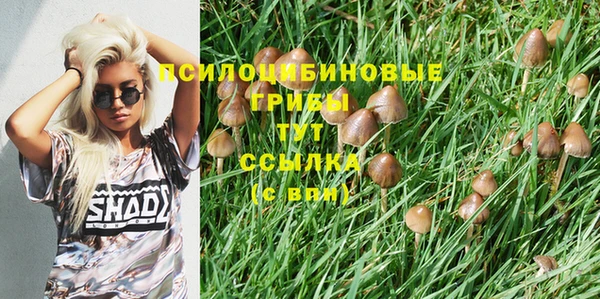 стаф Абдулино