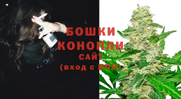 стаф Абдулино