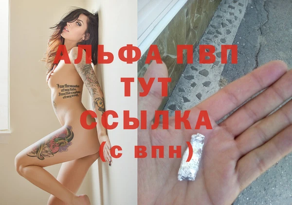 стаф Абдулино